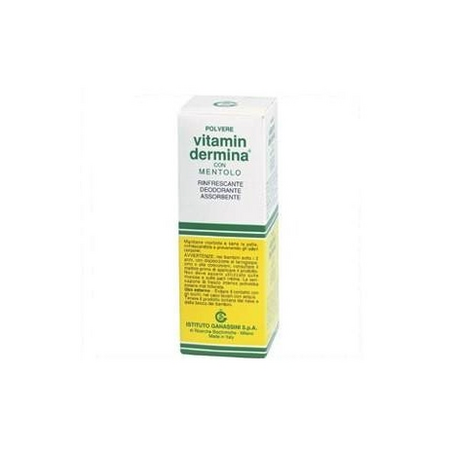 VITAMINDERMINA POLV.MENTOLO 100GR