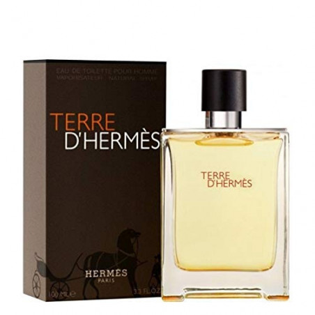 HERMES TERRE U EDT SPR 100ML