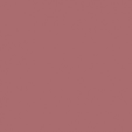 L'OREAL MATITA LIPLINER C.RICHE 302