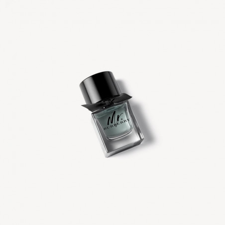 BURBERRY MR U EDT VAPO 50ML