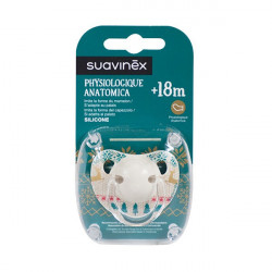 SUAVI WINTER SUCCH. ANAT....