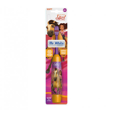 SPIRIT SPAZZ.TURBO (BATT)(E)