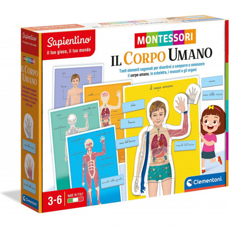 MONTESSORI SAPIENTINO IL CORPO UMANO