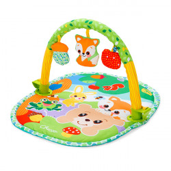 CHICCO PALESTRA ATTIVITA'...