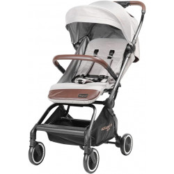 AZIAMOR PASSEG.RAPID GREY C...