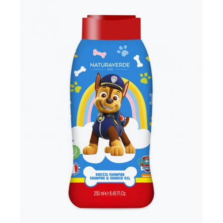 PAW PATROL DS 250