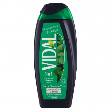 VIDAL D SH MINT GINKGO 250ML