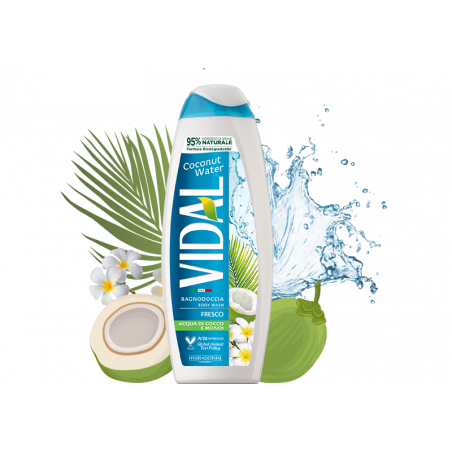 VIDAL D SH COCONUT WATER 250ML