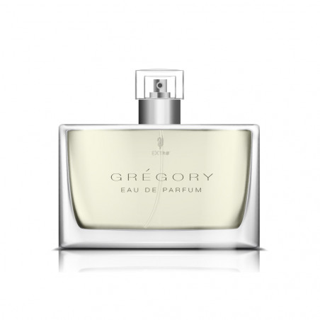 GREGORY'S D EDT SPR 100ML